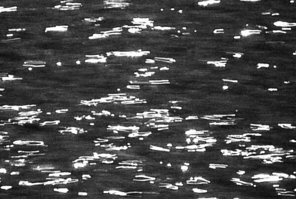 Los sueños blanco y negro